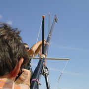 Crane3.JPG